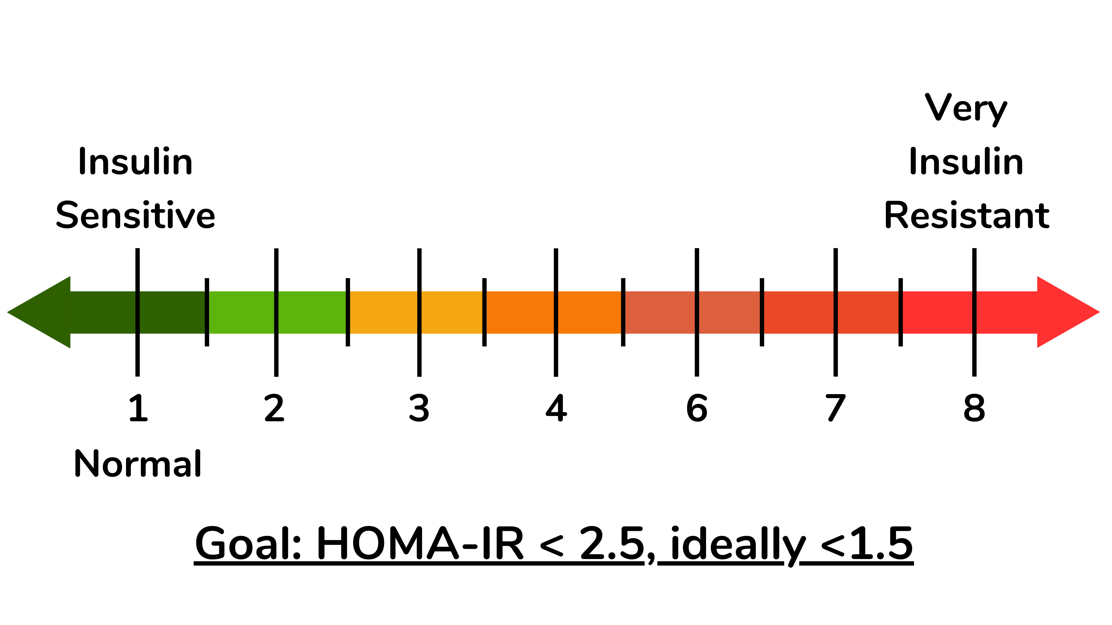 HOMA-IR 值解释的替代方法