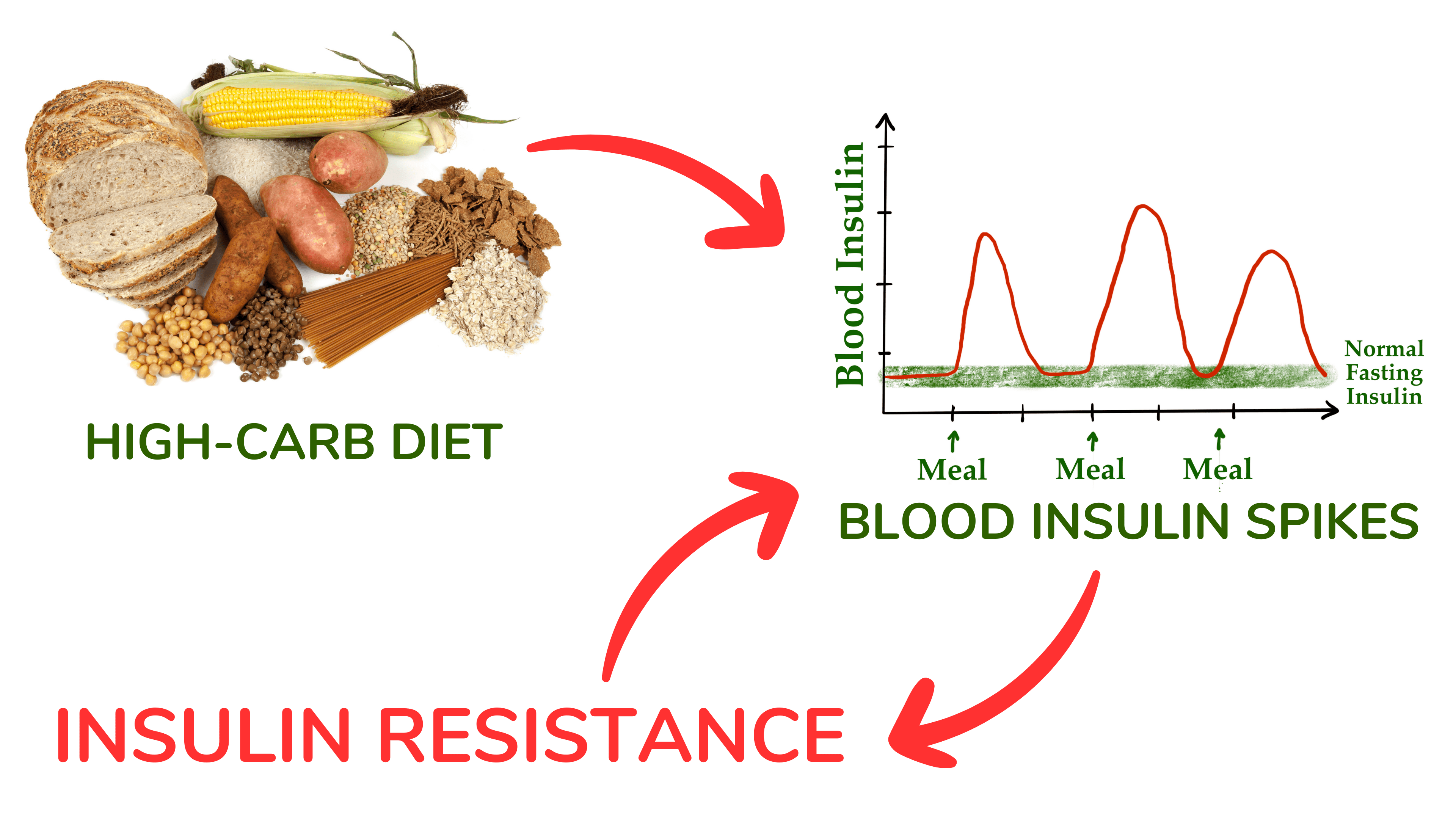 膳食碳水化合物引发胰岛素抵抗的拟议机制