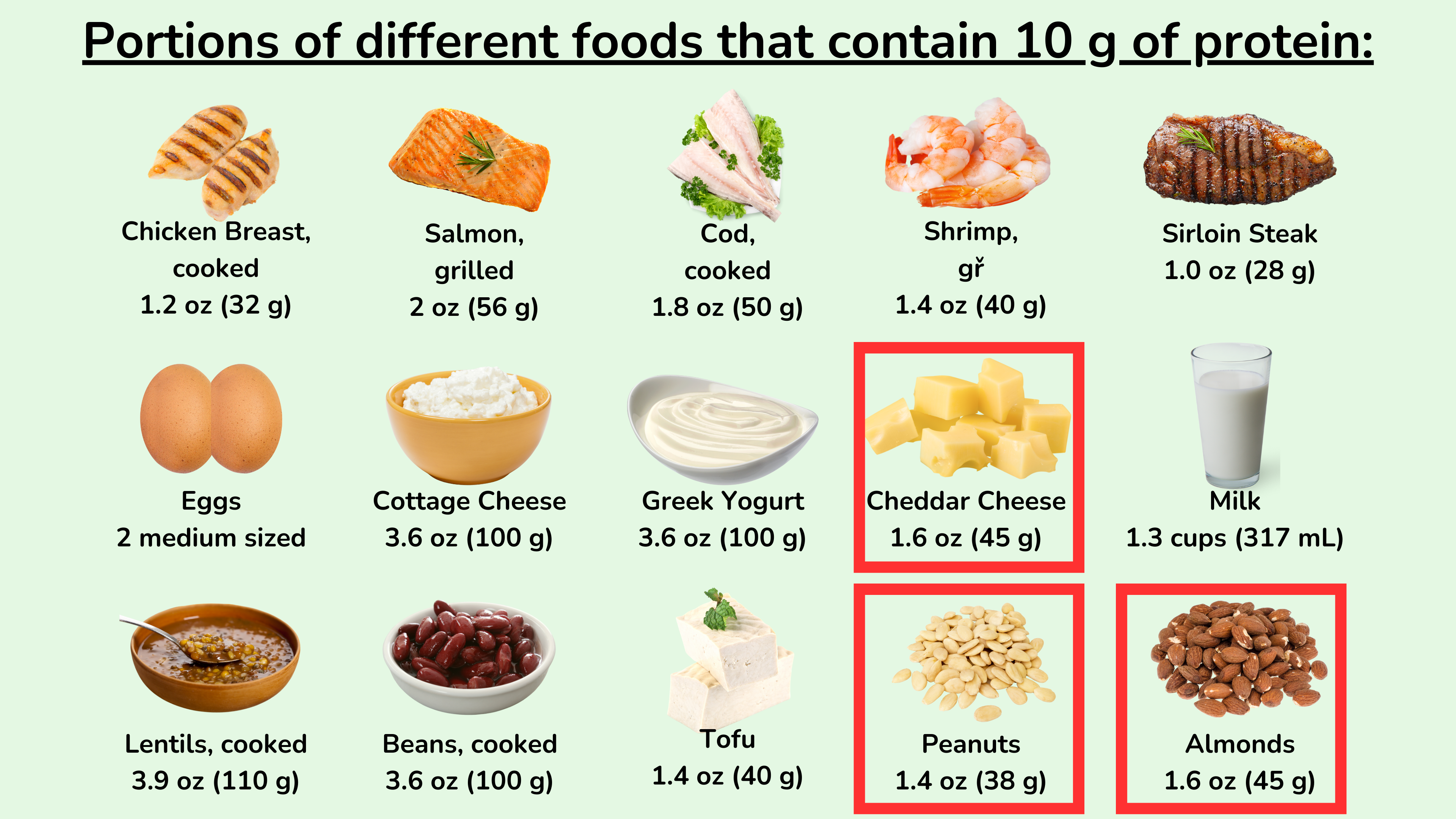 含有 10 克蛋白质的不同食物的份量