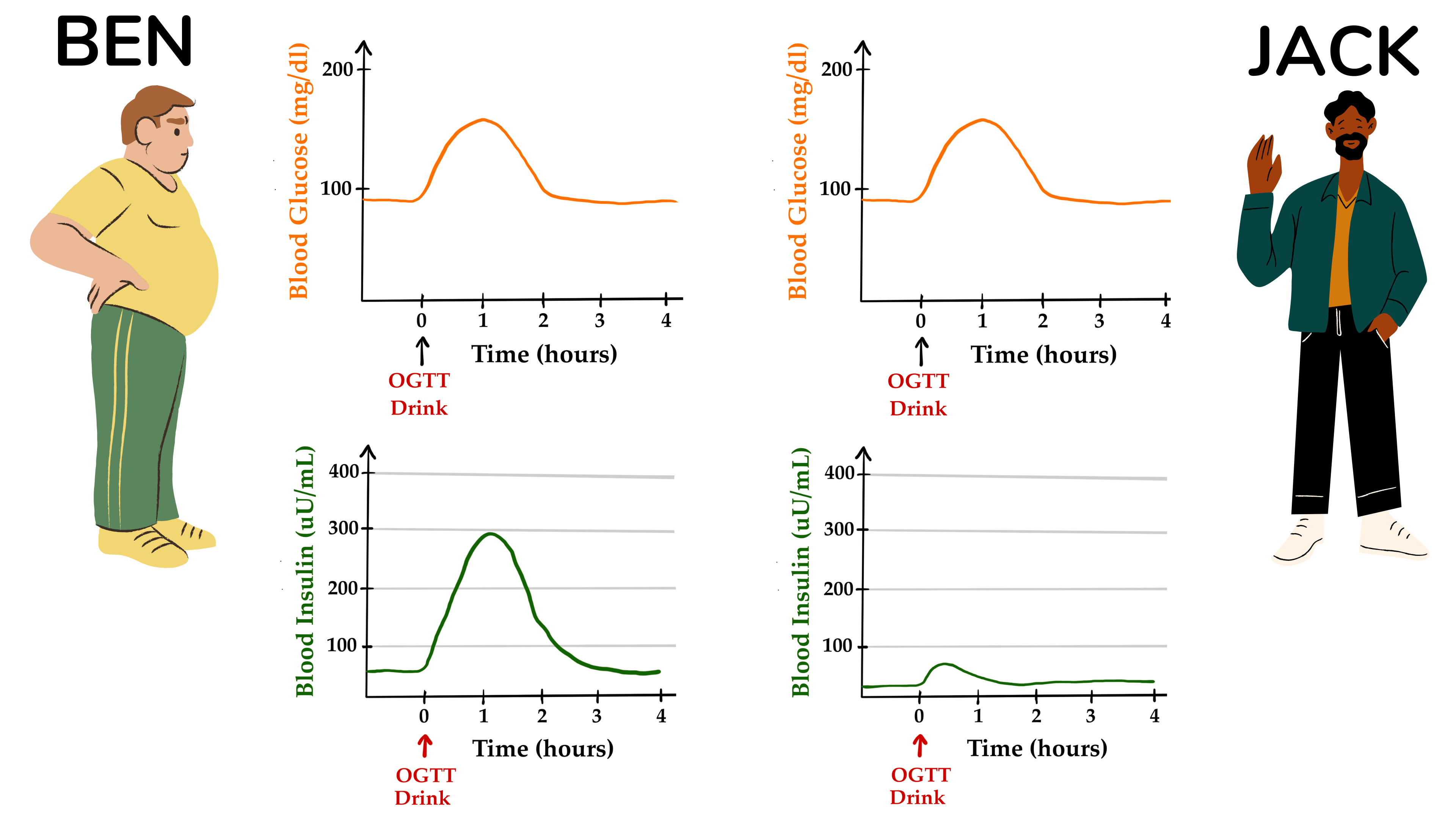 Ben 的 OGTT 血糖和胰岛素数据（Ben 具有很强的胰岛素抵抗）和 Jack 的 OGTT 血糖和胰岛素数据（Jack 具有很强的胰岛素敏感性）。两人的血糖耐受性均正常。