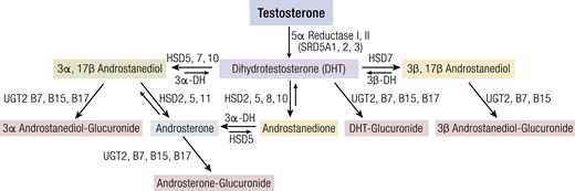 NS_DHT